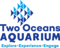 toa_logo_square_vector